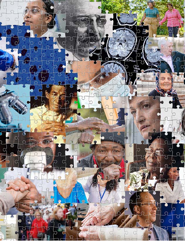 The Alzheimer's Puzzle