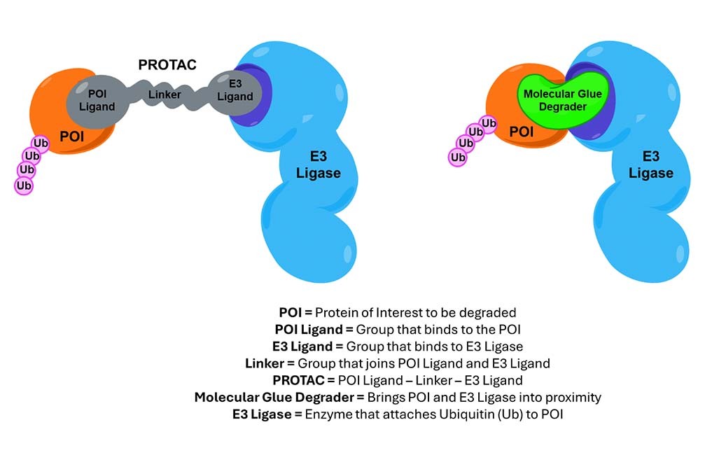 Protac illustration