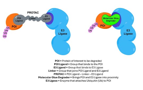 Protac illustration