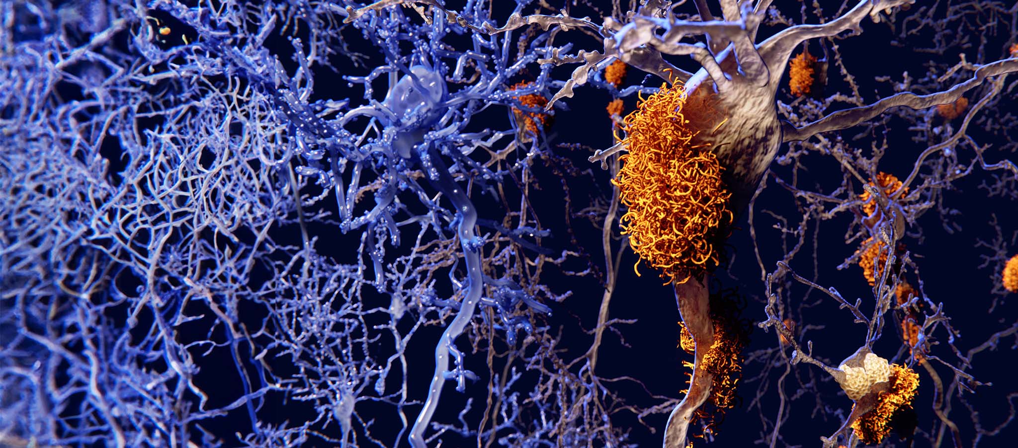 scientific image with tau present